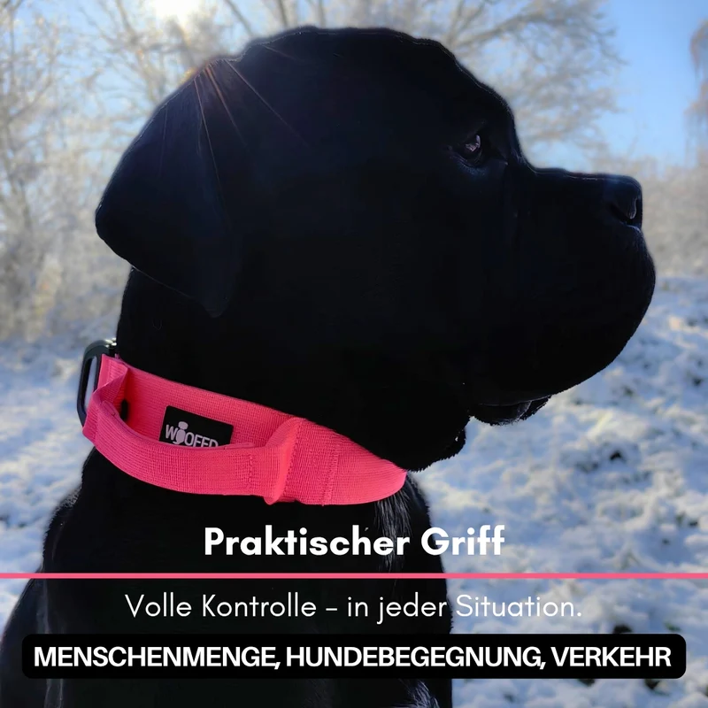 Nylon Tactical Halsband Pink Bloom - ultraleicht