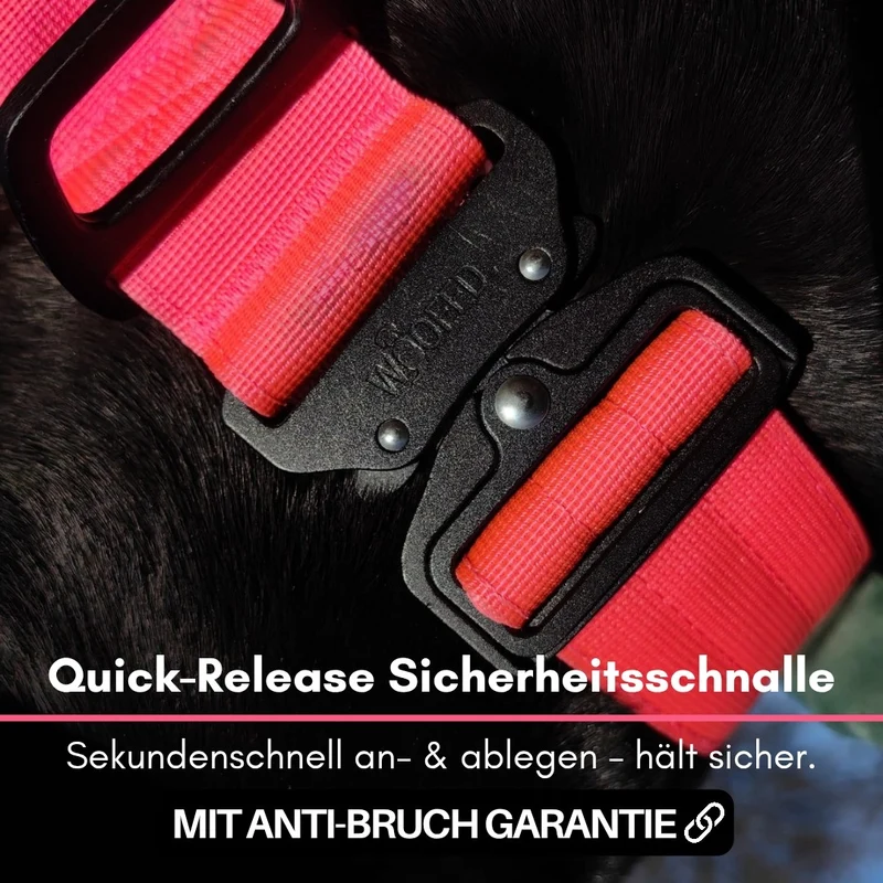 Nylon Tactical Halsband Pink Bloom - ultraleicht