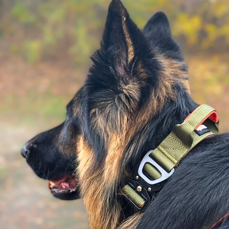 Nylon Tactical Halsband Hunter Glow - ultraleicht