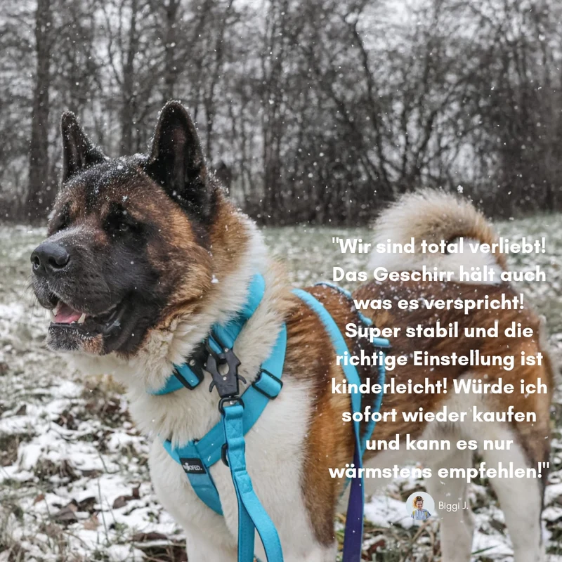 Y-Hundegeschirr 4fach-verstellbar mit Griff und Sicherheitsschnallen Arctic Sky - ultraleicht