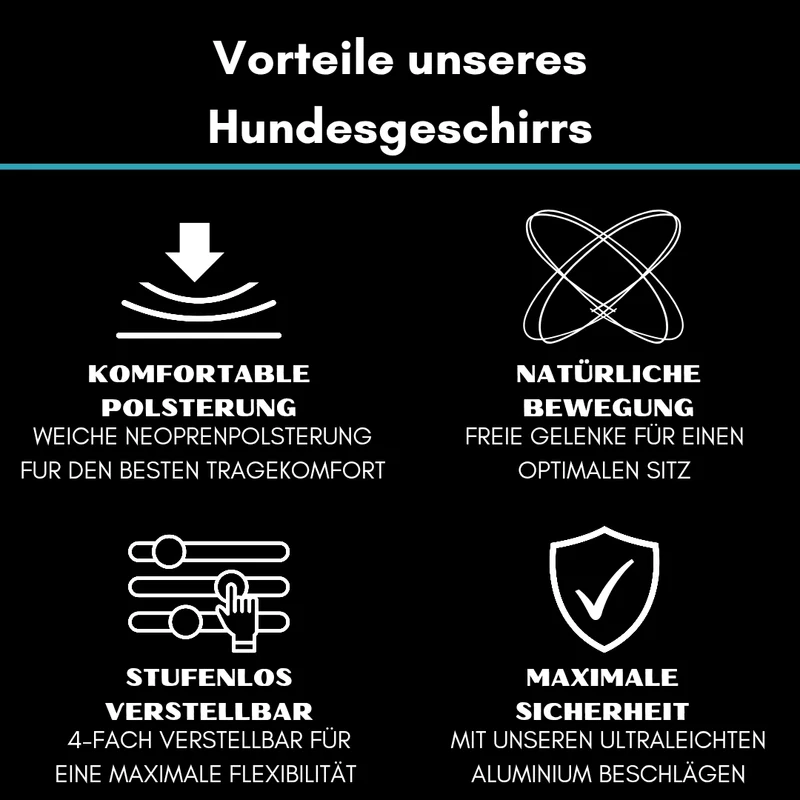Y-Hundegeschirr 4fach-verstellbar mit Griff und Sicherheitsschnallen Arctic Sky - ultraleicht