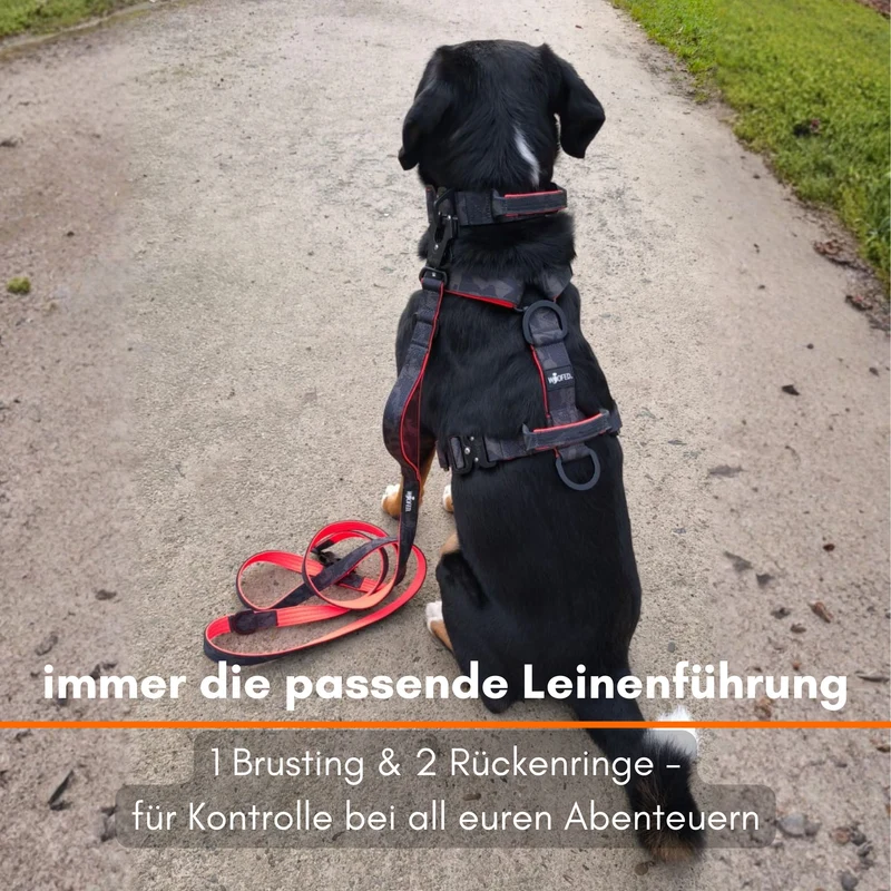 Y-Hundegeschirr 4fach-verstellbar mit Griff und Sicherheitsschnallen Signal Camo - ultraleicht