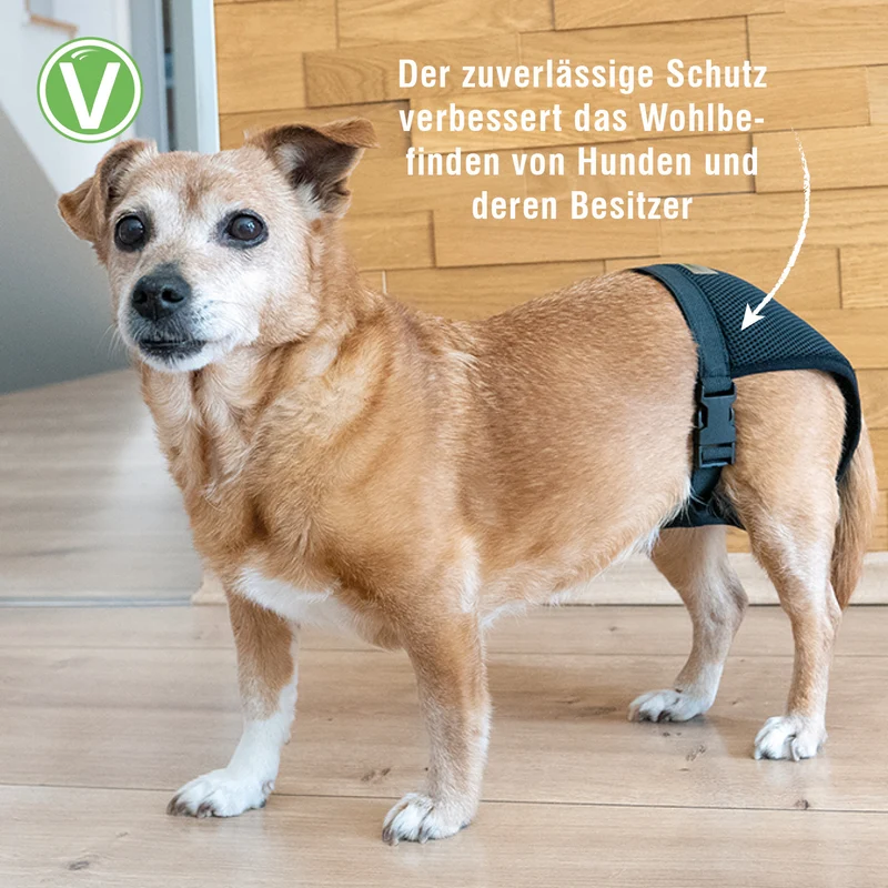 Einlagen für Vetlando Läufigkeitshöschen