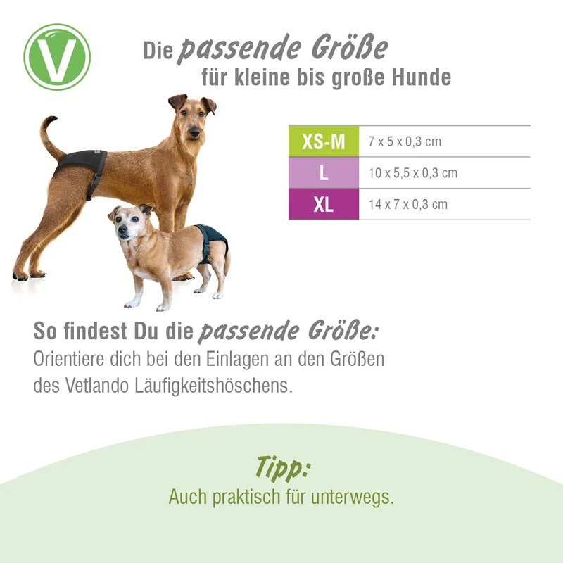 Einlagen für Vetlando Läufigkeitshöschen
