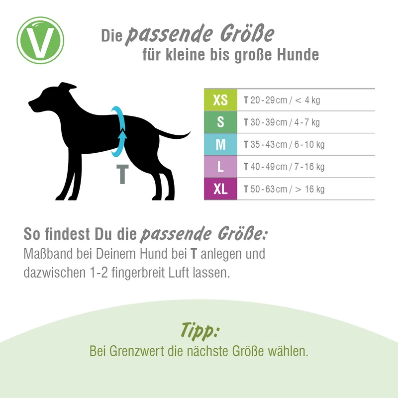 Läufigkeitshöschen Schwarz