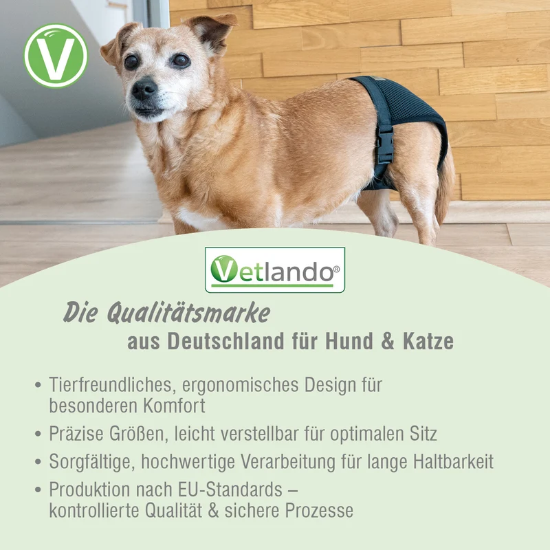 Läufigkeitshöschen Schwarz