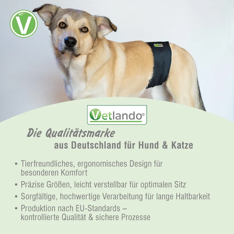 Waschbare Rüdenwindel Schwarz