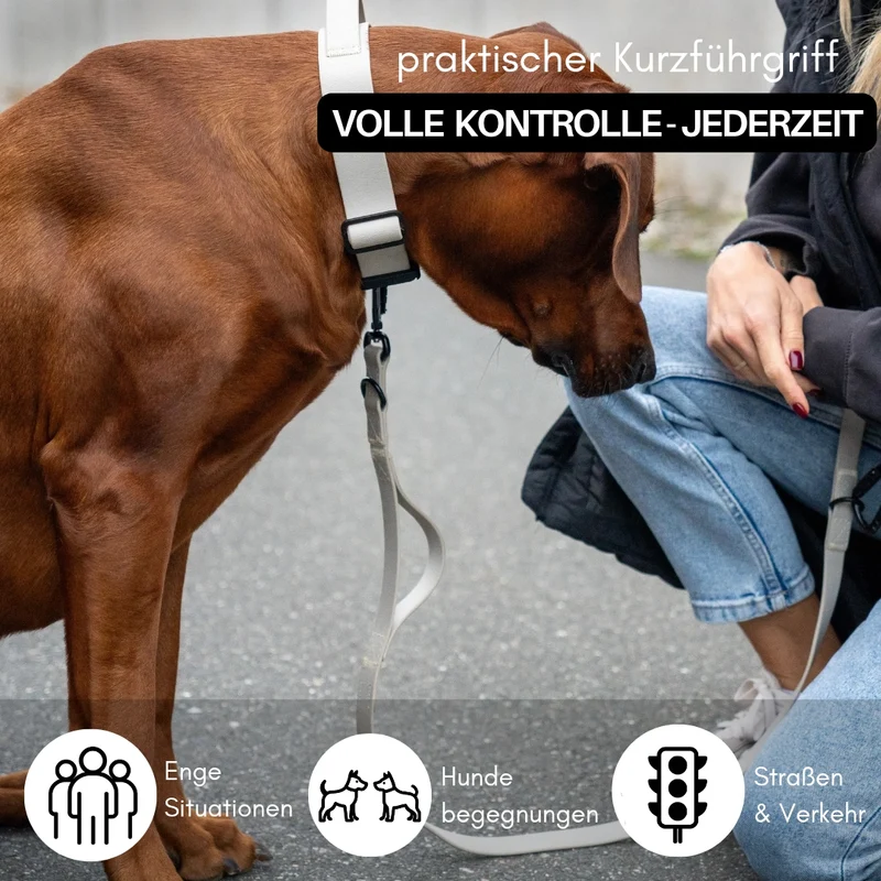 Führleine WOOFLEX® Pro verstellbar Desert Sand