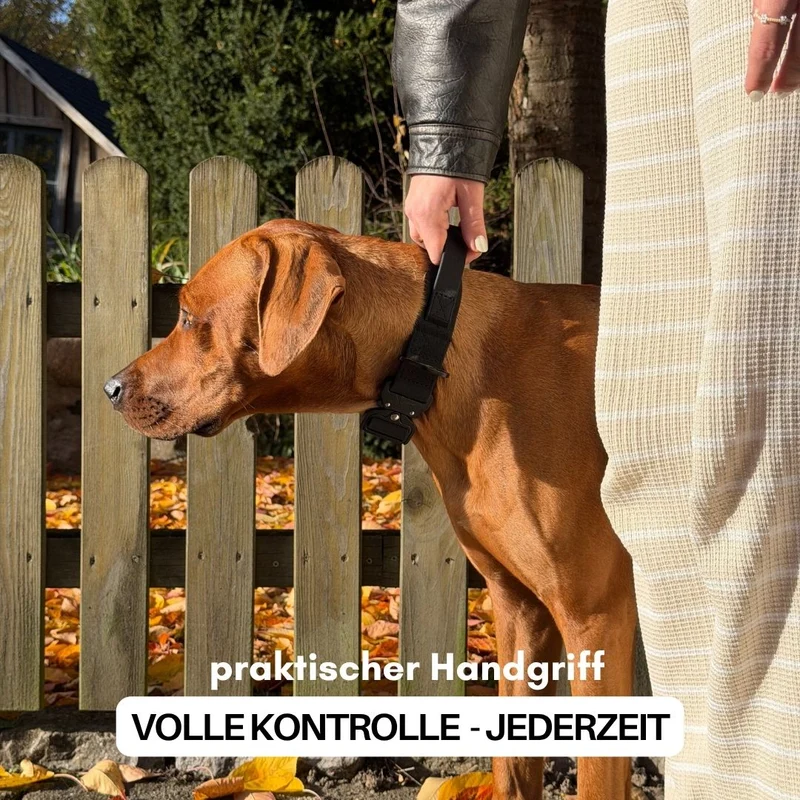 Halsband WOOFLEX® Tactical verstellbar mit Griff Phantom Black