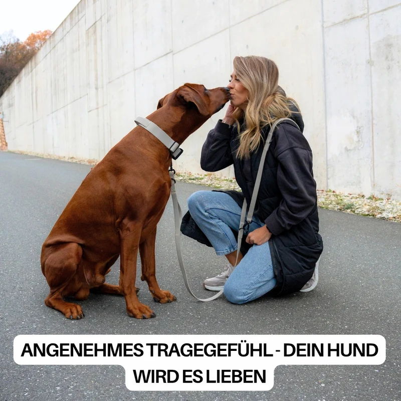 Halsband WOOFLEX® Tactical verstellbar mit Griff Desert Sand