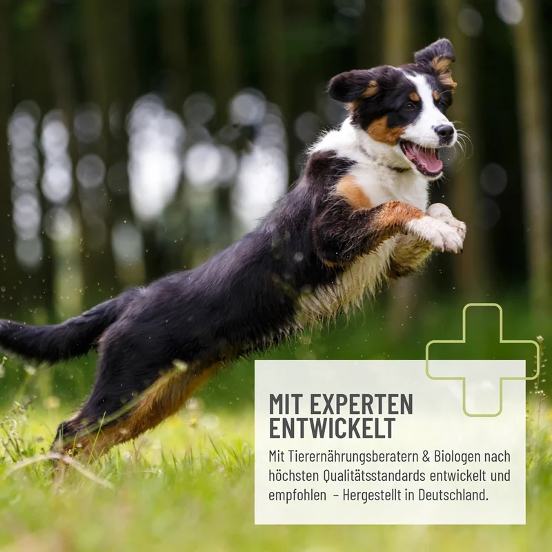Z-Blocker Snack