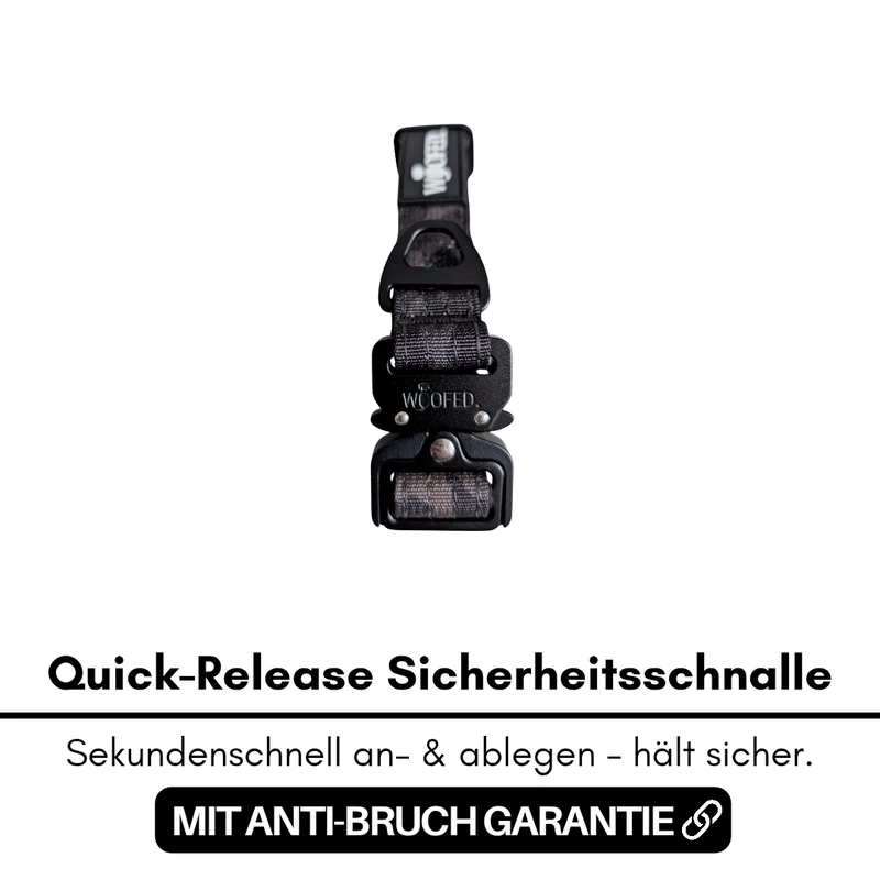 Nylon Tactical Halsband für kleine Hunde Black Camo
