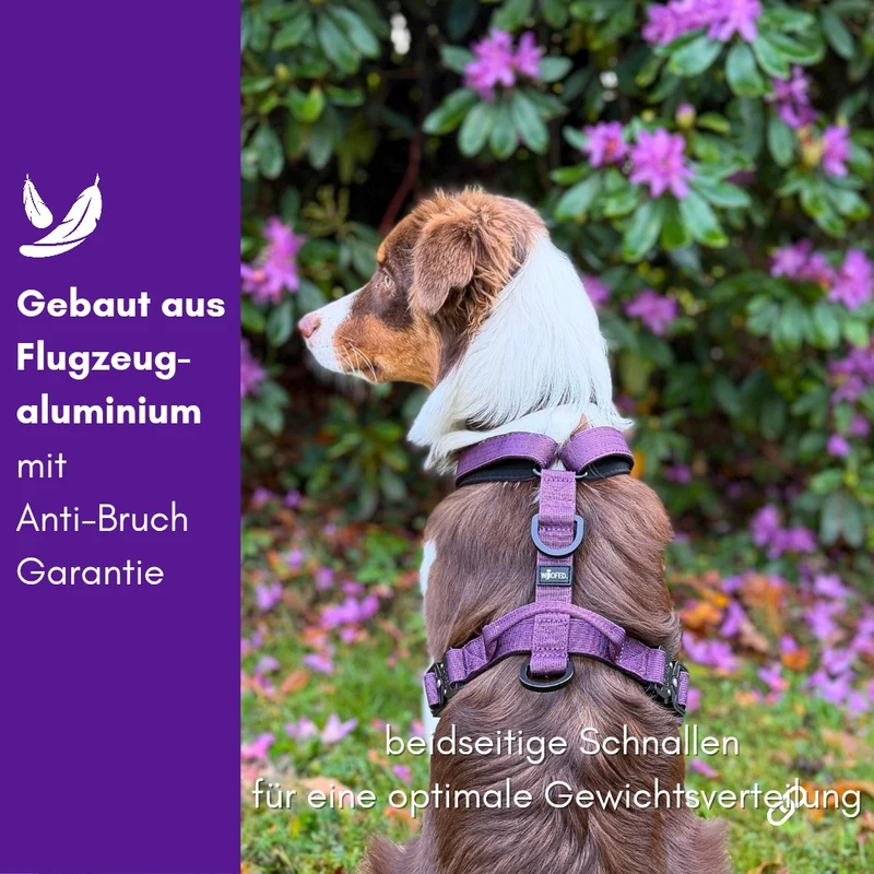 Y-Hundegeschirr 4fach-verstellbar mit Griff und Sicherheitsschnallen Velvet Purple - ultraleicht