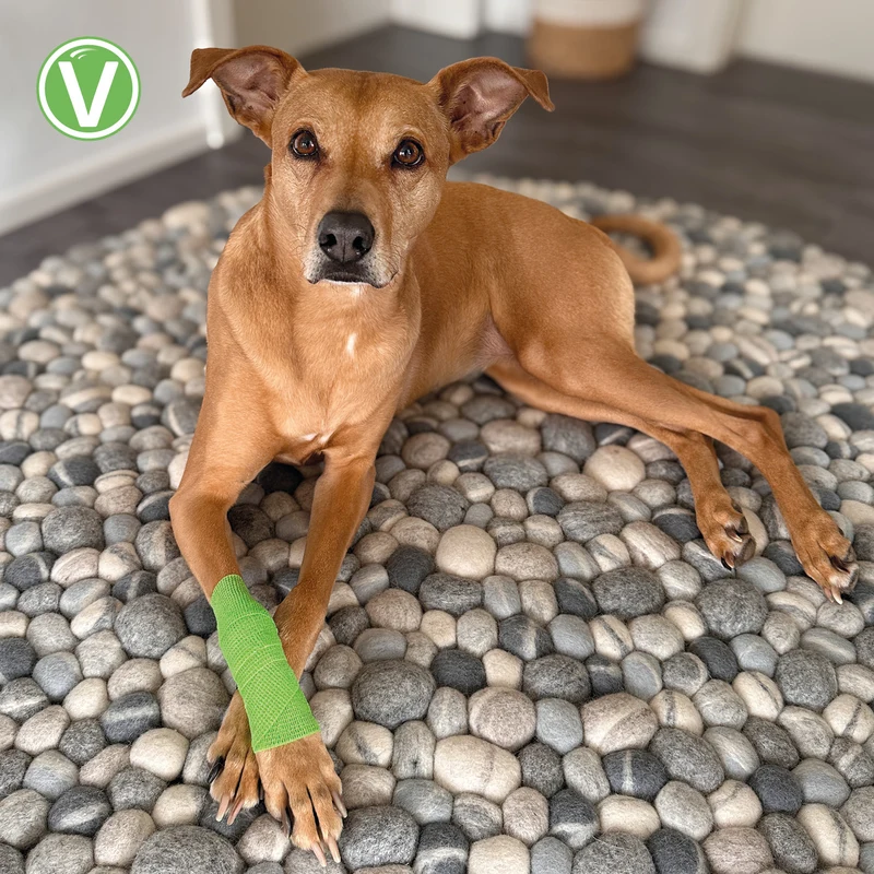 Anti-Lick Bandage
