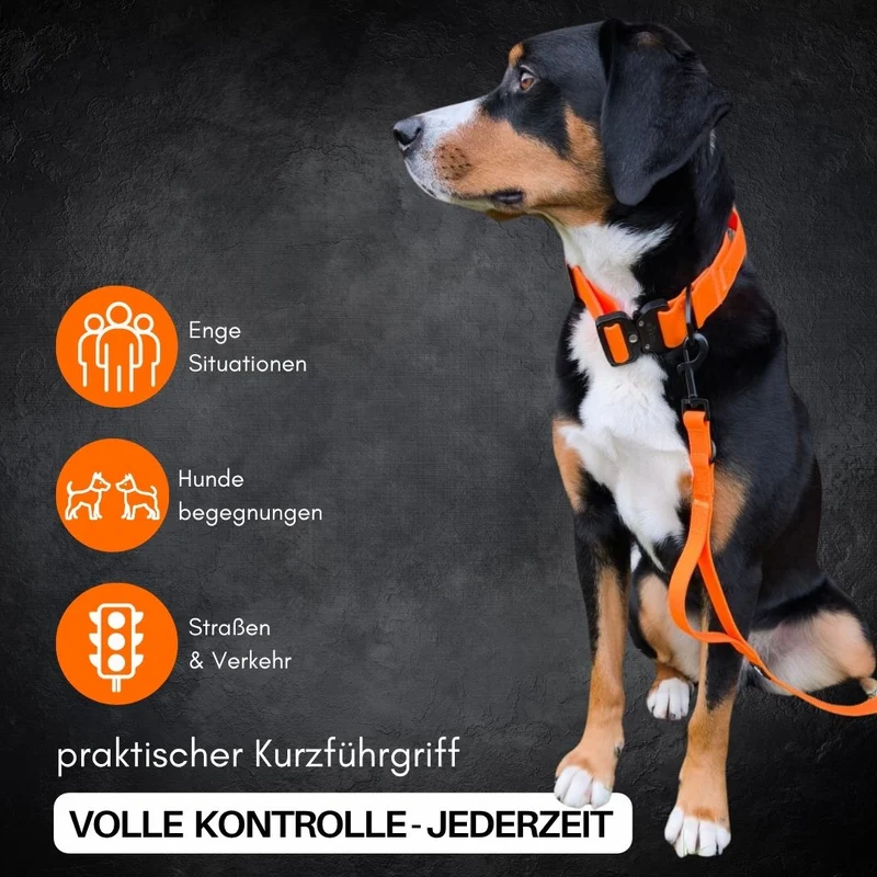 Führleine WOOFLEX® Classic verstellbar Sunset Orange