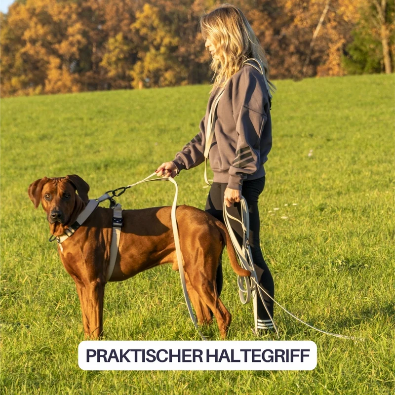 multifunktionale Schleppleine WOOFLEX® Desert Sand