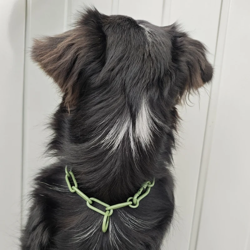Woofchain Kettenhalsband aus Edelstahl Olive