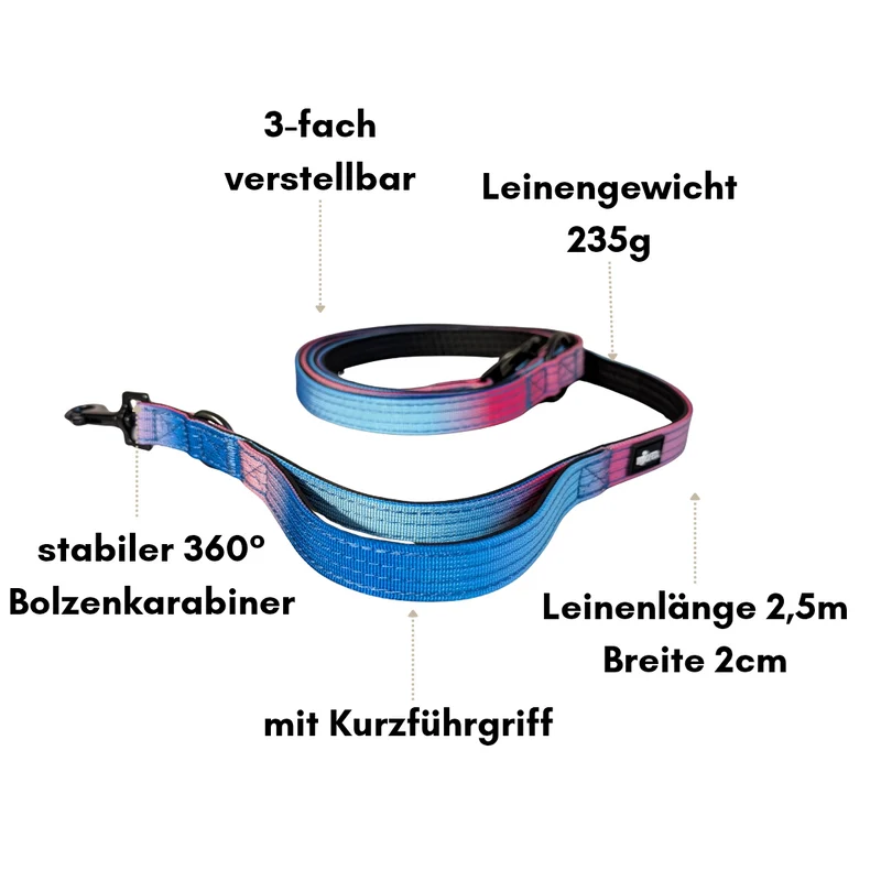 Nylon Classic Führleine Pink Blue Sky