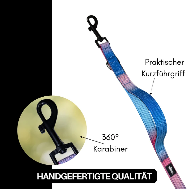 Nylon Classic Führleine Pink Blue Sky