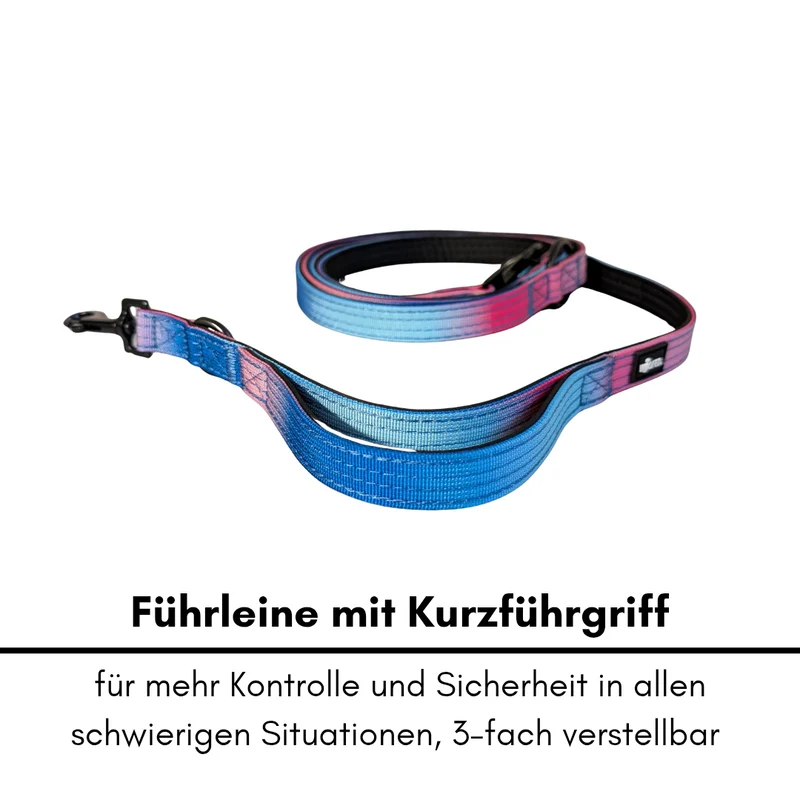 Nylon Classic Führleine Pink Blue Sky