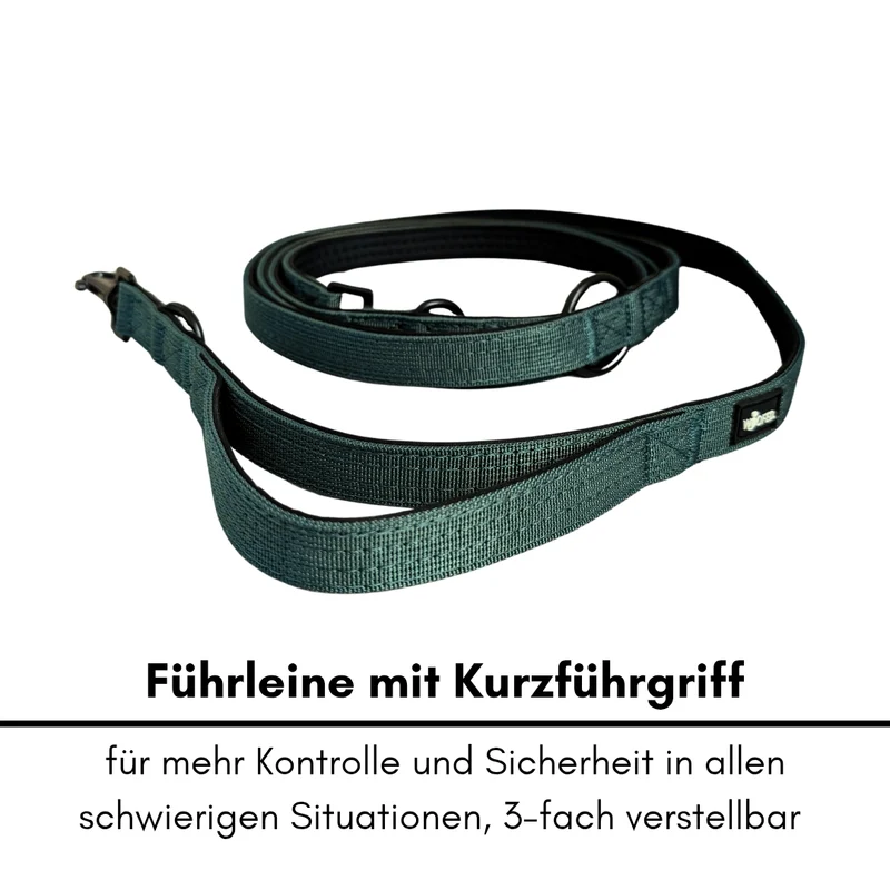 Nylon Classic Führleine Dark Green