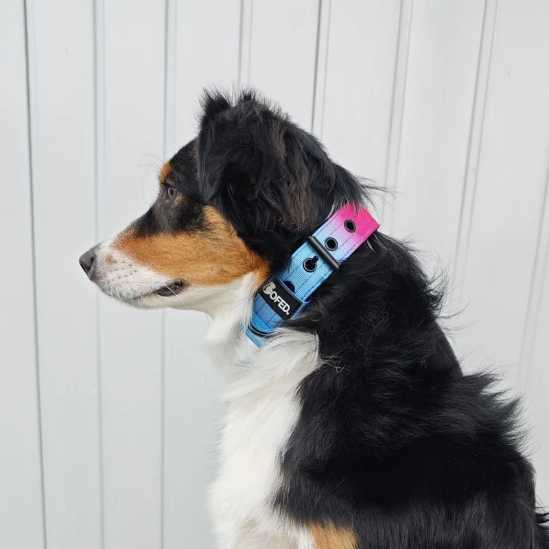 Nylon Classic Halsband Pink Blue Sky