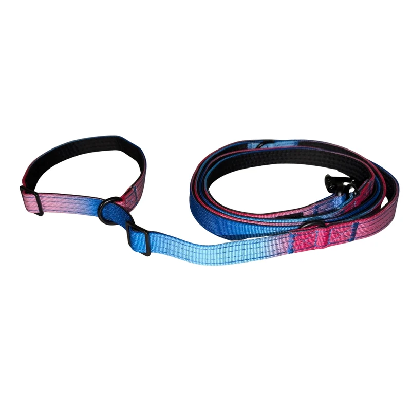 Nylon Retrieverleine verstellbar Pink Blue Sky