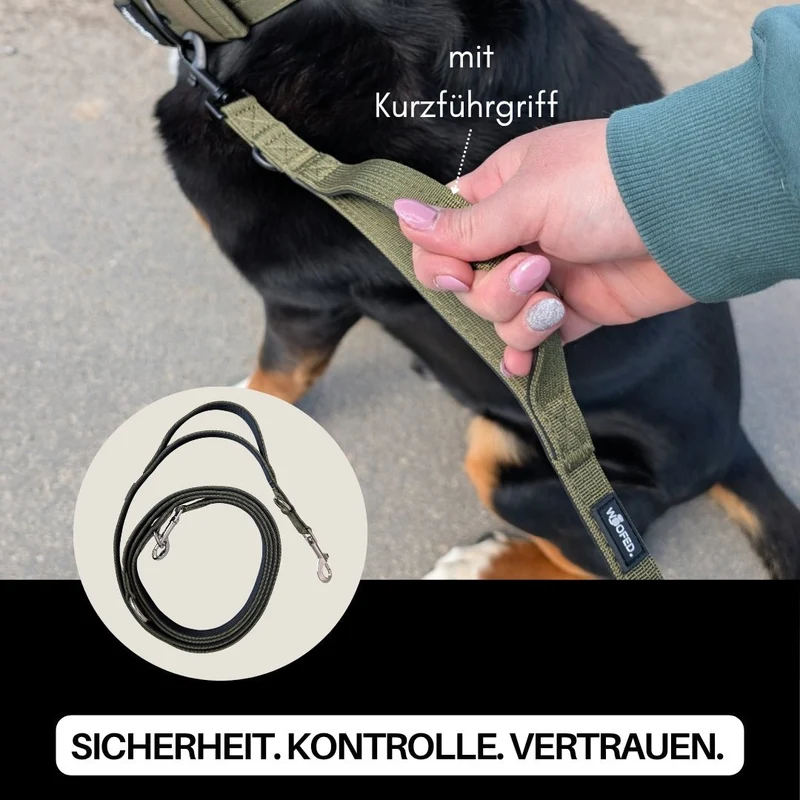 Nylon Classic Führleine Military Olive