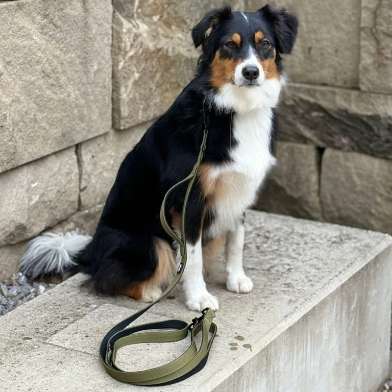 Nylon Classic Führleine Military Olive