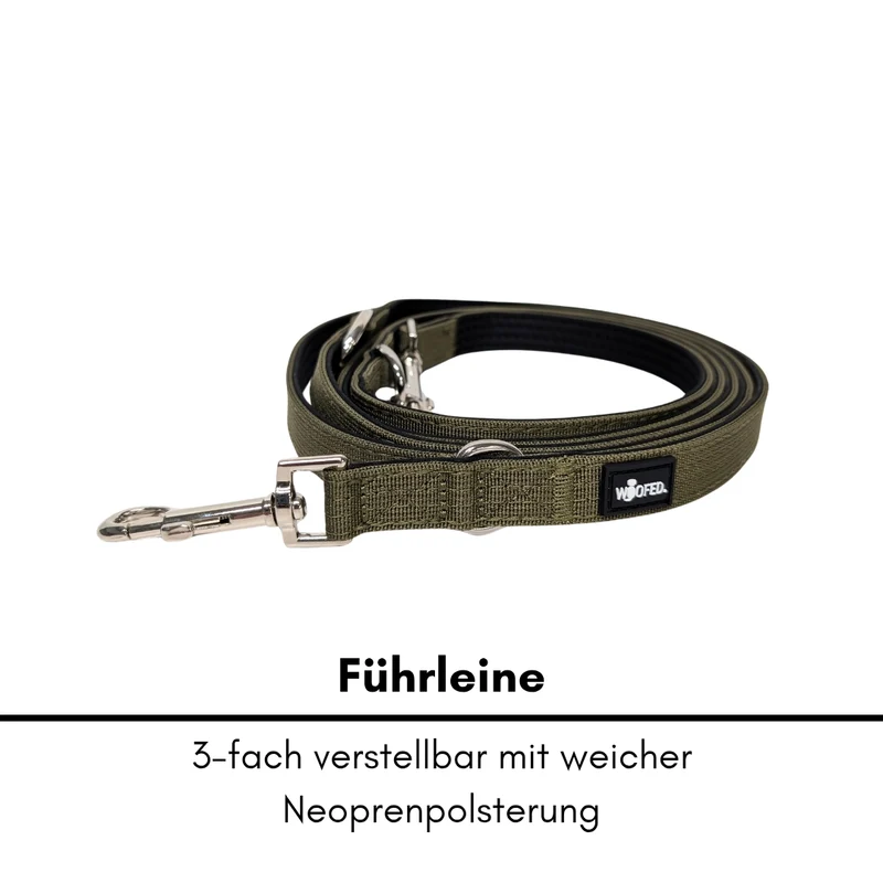 Nylon Classic Führleine Military Olive