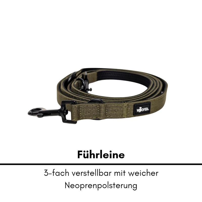 Nylon Classic Führleine Military Olive