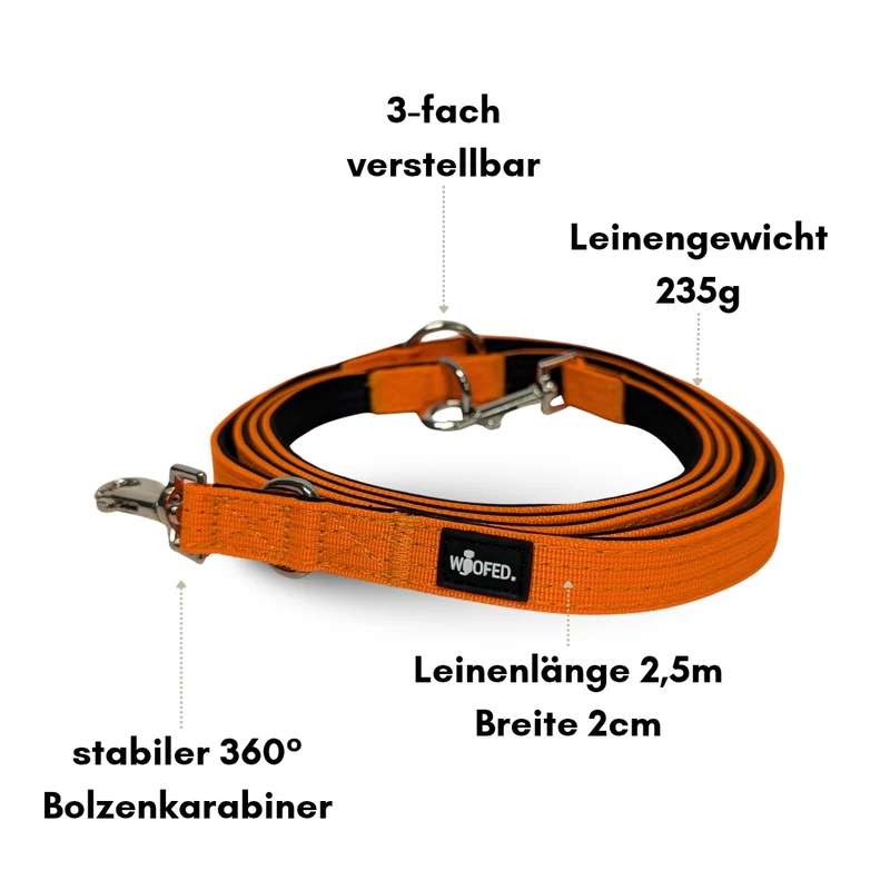 Nylon Classic Führleine Safety Orange