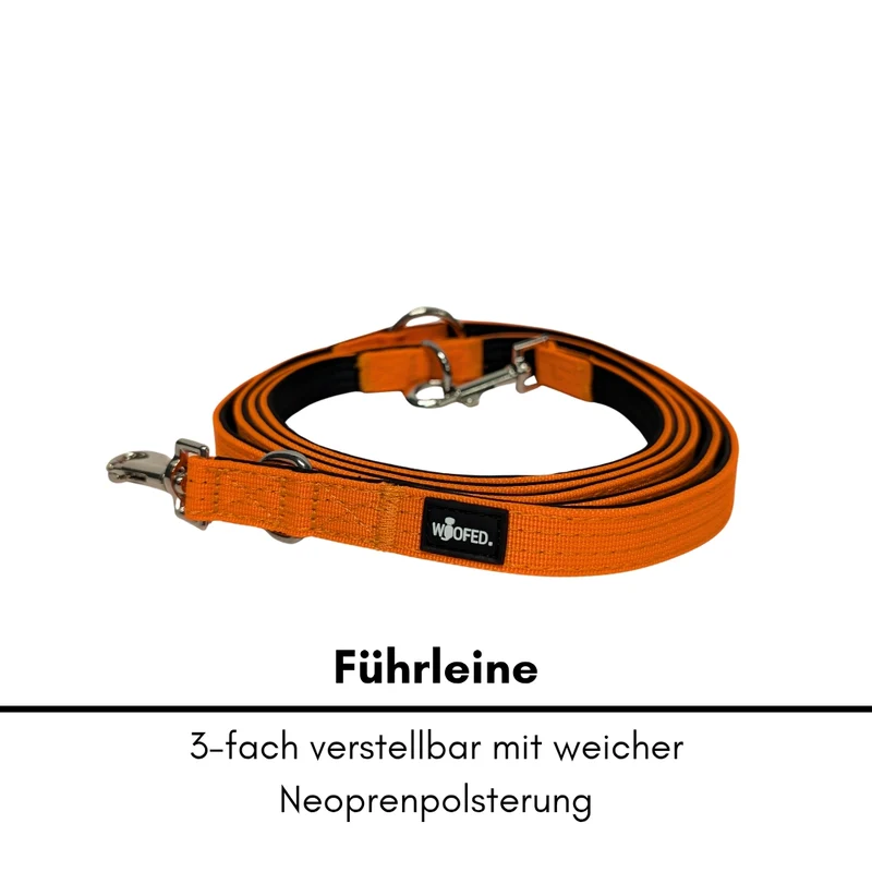Nylon Classic Führleine Safety Orange