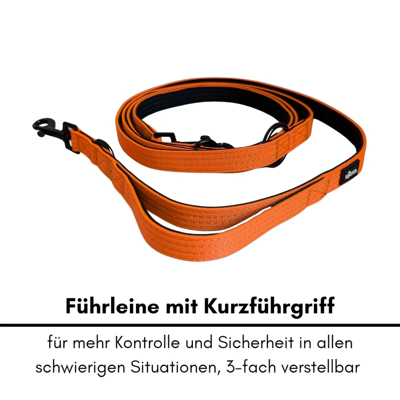 Nylon Classic Führleine Safety Orange