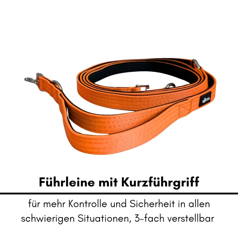 Nylon Classic Führleine Safety Orange
