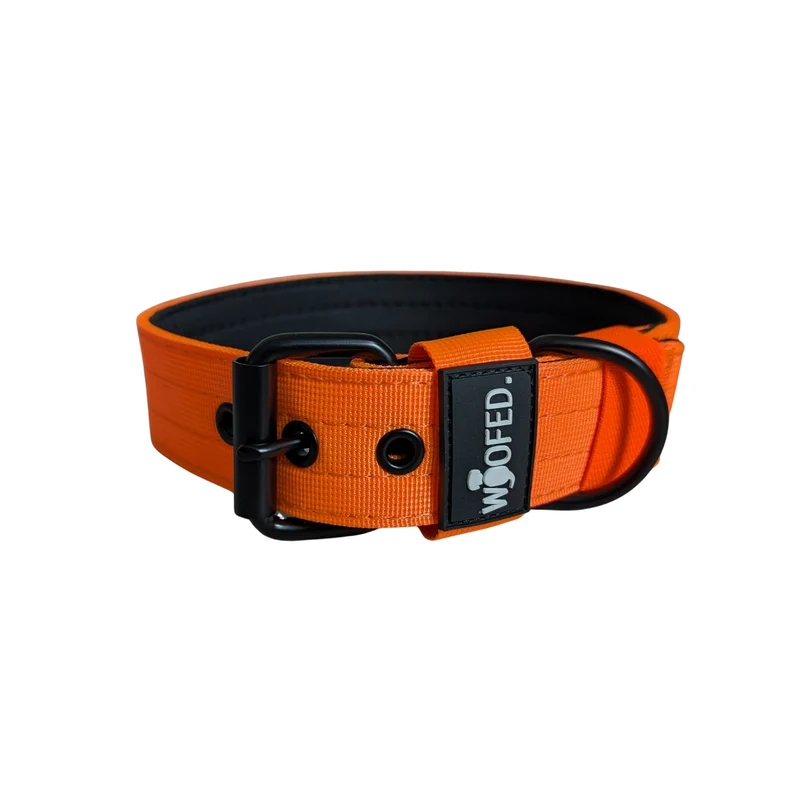 Nylon Classic Halsband Safety Orange