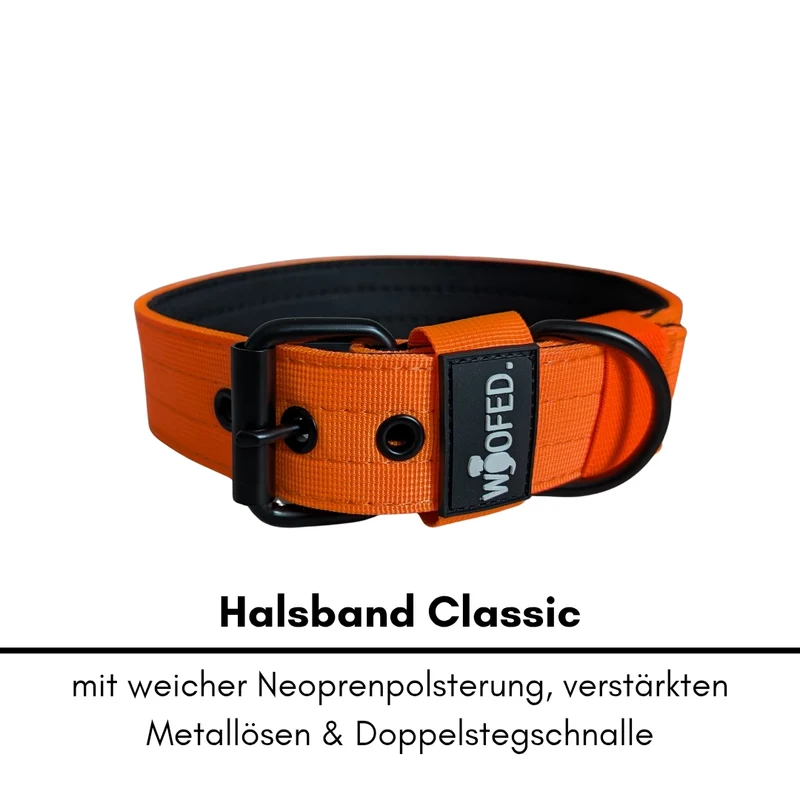 Nylon Classic Halsband Safety Orange