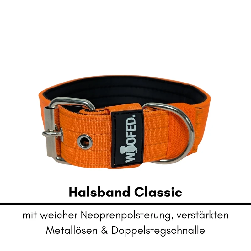 Nylon Classic Halsband Safety Orange