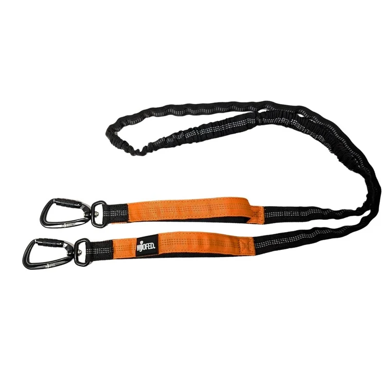 Jogging- & Wanderleine mit beidseitigem Griff, Bungee-Ruckdämpfer & Sicherheitskarabiner aus Nylon