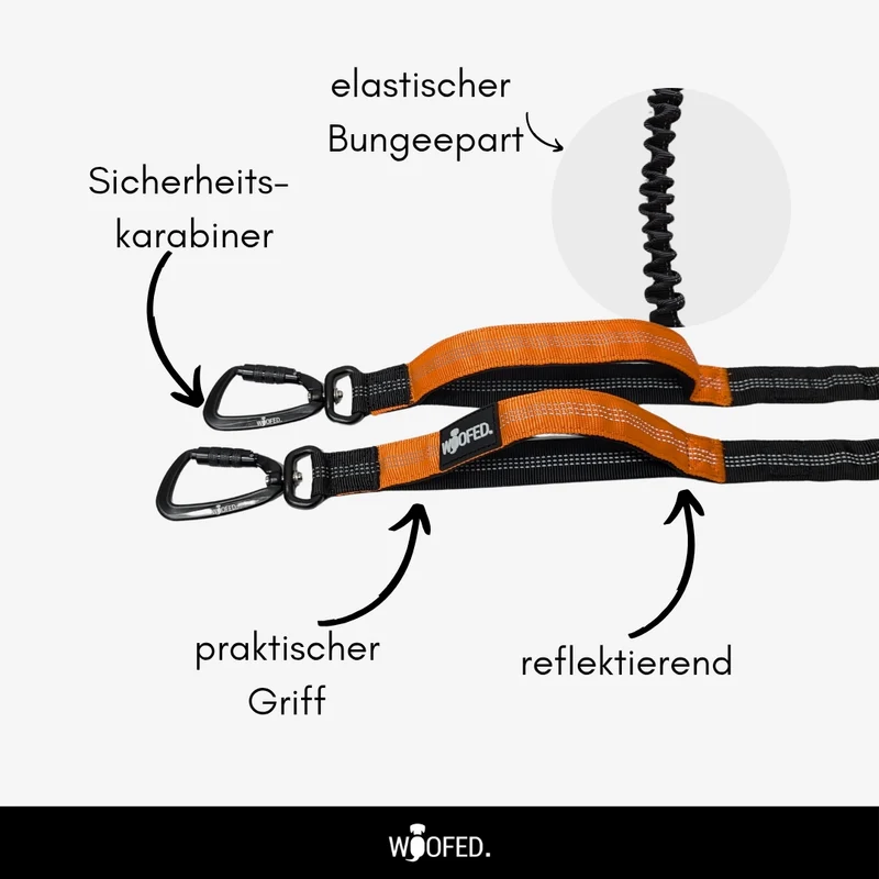 Jogging- & Wanderleine mit beidseitigem Griff, Bungee-Ruckdämpfer & Sicherheitskarabiner aus Nylon