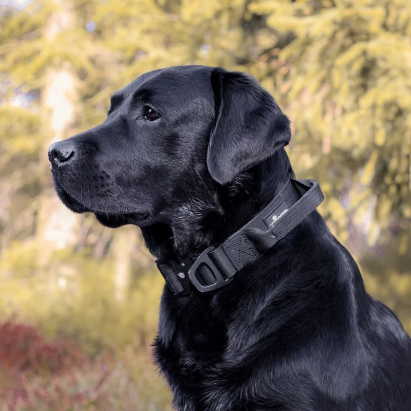 Nylon Tactical Halsband mit Griff Deep Black - ultraleicht