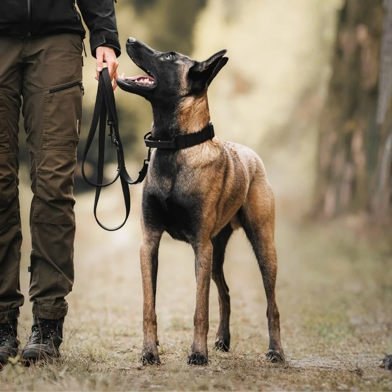 Nylon Tactical Halsband mit Griff Deep Black - ultraleicht