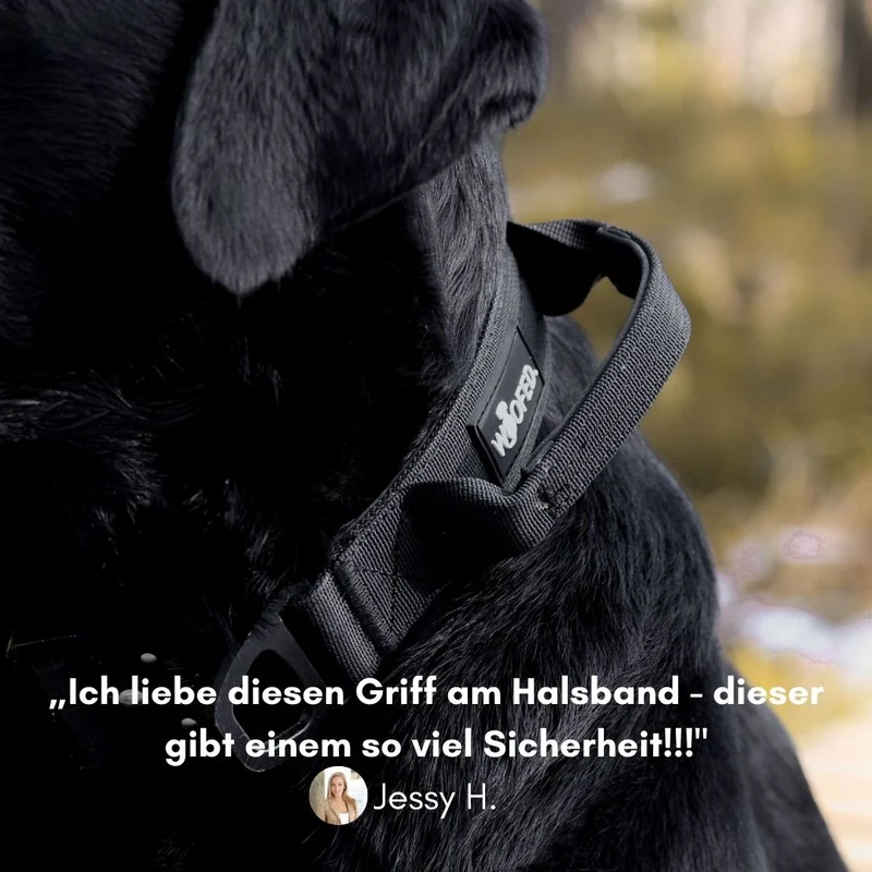 Nylon Tactical Halsband mit Griff Deep Black - ultraleicht