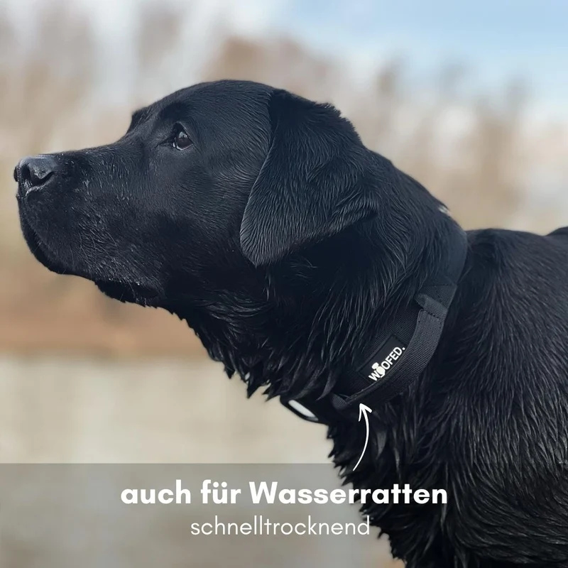 Nylon Tactical Halsband mit Griff Deep Black - ultraleicht
