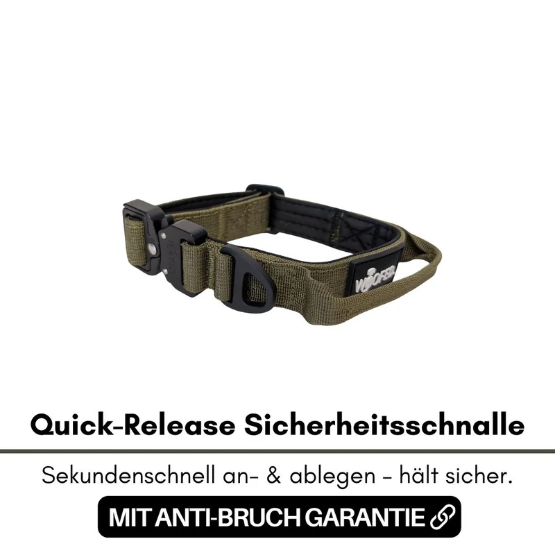 Nylon Tactical Halsband für kleine Hunde Military Olive