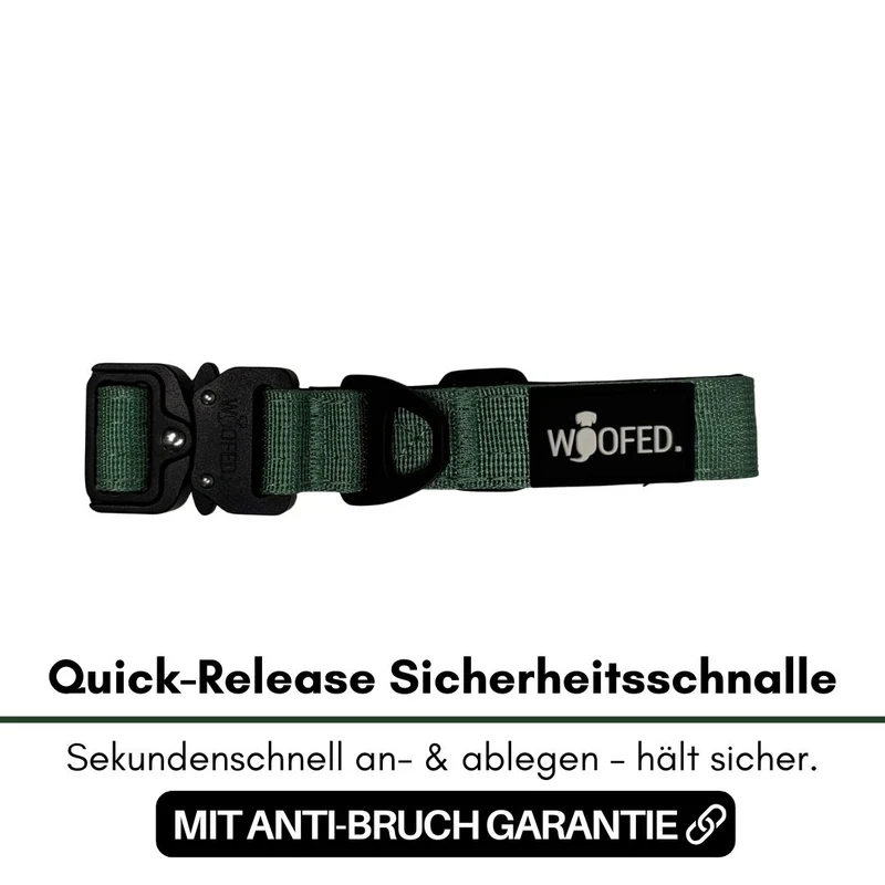 Nylon Tactical Halsband für kleine Hunde Dark Green