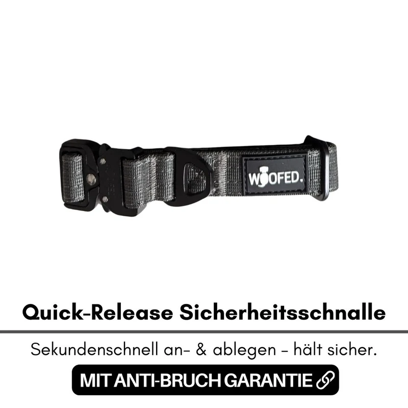 Nylon Tactical Halsband für kleine Hunde Anthracite