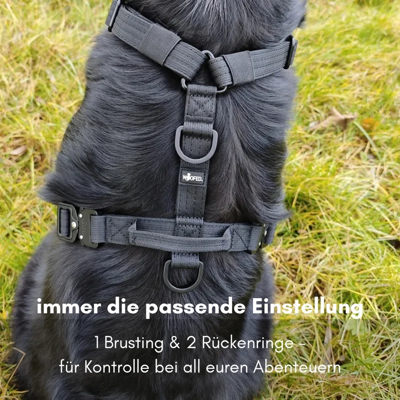 Y-Hundegeschirr 4fach-verstellbar mit Griff und Sicherheitsschnallen Deep Black - ultraleicht