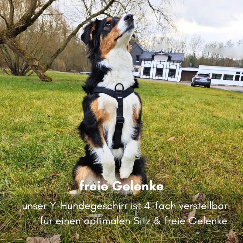 Y-Hundegeschirr 4fach-verstellbar mit Griff und Sicherheitsschnallen Deep Black - ultraleicht