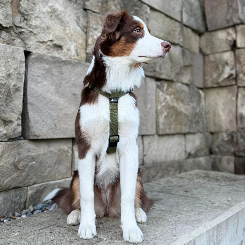 Y-Hundegeschirr 4fach-verstellbar mit Griff und Sicherheitsschnallen Military Olive - ultraleicht